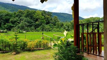 ฮ้างนาตาจันทร์, Pua (foto 4)