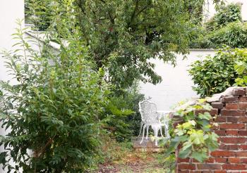 The Greenhouse, Amberes (foto 2)