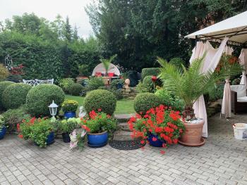 Schlossblick, Blankenburg (foto 5)
