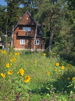 Vacationhome in the vineyards, Viena (foto 2)