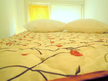 MissOrtelia B&B, Amsterdam (photo 4)