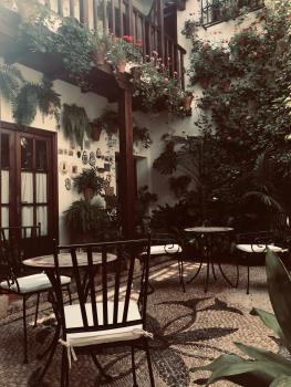 Casa longa, Kordoba (zdjęcie 4)