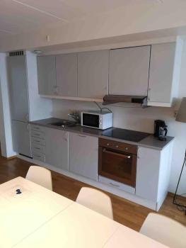 CITY CENTER OSLO BLACK AND WHITE APARTMENT, Oslo (zdjęcie 4)