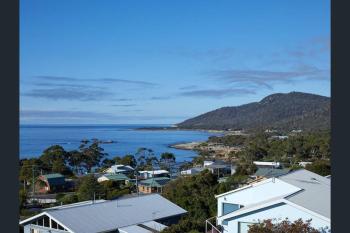Bicheno Views on Douglas, Bicheno (foto 5)