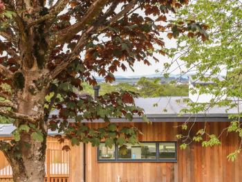 Oak, Truro (fotografie 3)