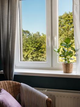 Green view apartment / Kochanowskiego, Cracovie (photo 5)