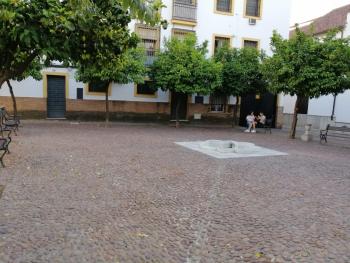 CALLE ABEJAR,PLAZA, Córdoba (fotografie 3)