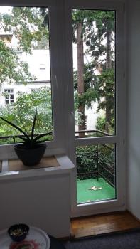 Animrumru, Varsovie (photo 3)