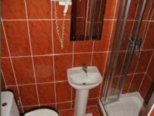 Olympia Inn Hotel, Лондон (фото 5)
