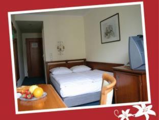 Hotel Aurbacher Hof GmbH, Munich (photo 3)