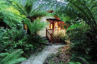 Como Cottage Accommodation, Olinda (fotografie 4)