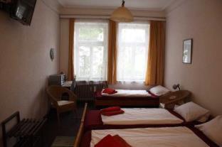 Hotel Pension Schmellergarten, Múnich (foto 5)