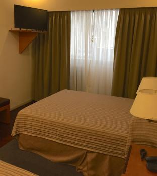 Hotel Napoleón, Buenos Aires (photo 5)