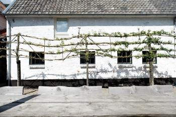 Cour 8 Lofts, Маастрихт (фото 4)