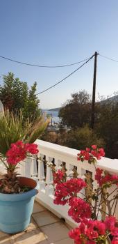 Nikos studios, Livadia (zdjęcie 3)