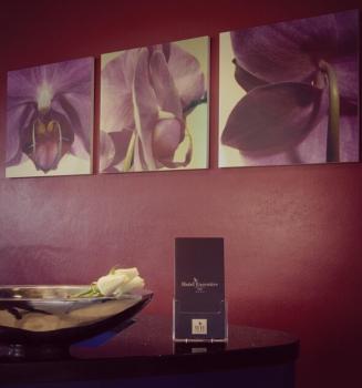 Executive Hotel, Forlì (foto 4)
