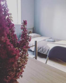 Lawendowy Hostel Wrocław, Wrocław (photo 2)