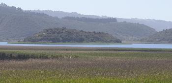 677 on Lake, Wilderness (foto 5)