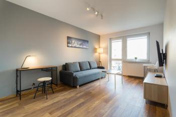 Wodna Street Big Family Apartment, Cracovie (photo 3)