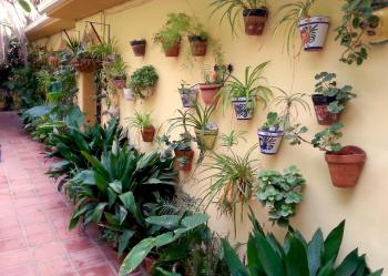 Casa Esperanza, Málaga (fotografie 3)