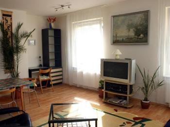 Arriva Apartment, optional indoor parking, Budapešť (fotografie 5)