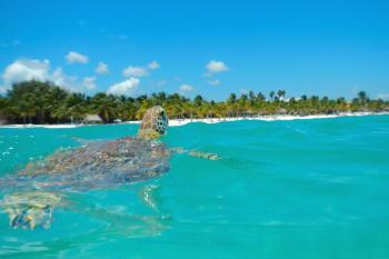 Beautiful & Cozy Studio in Akumal Paradise-Wifi, AC, Akumal (photo 2)