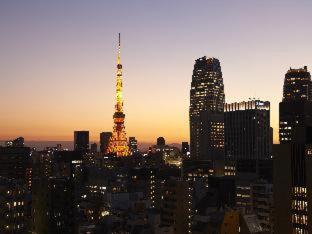 Sotetsu Fresa Inn Shimbashi-Karasumoriguchi, Tokio (fotografie 3)