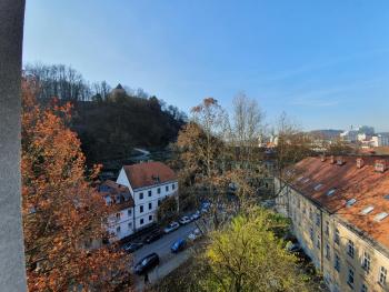 Bossa nova Castle&Outstanding home with garage, Lublaň (fotografie 4)