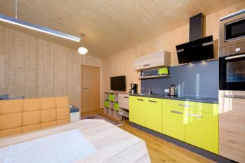 Appartement - Vollholz Studio im Zentrum von Flachau, Flachau (zdjęcie 2)