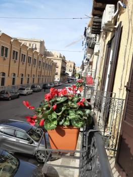A Casa di Josephine, Palermo (fotografie 3)