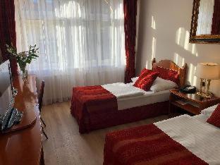 Hotel Ariston Prague, Prague (photo 3)