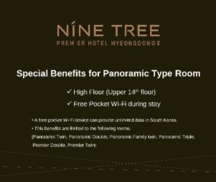 Nine Tree by Parnas Seoul Myeongdong 2, Сеул (фото 2)