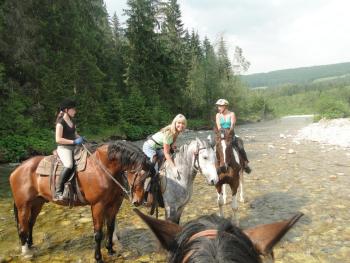 Mały domek pod lasem, Zakopane (photo 4)