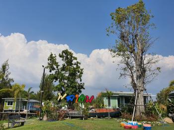 Phalagoon Resort, Ban Chang (zdjęcie 3)