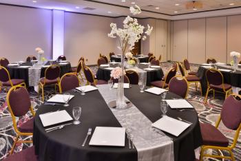 Holiday Inn Kansas City Airport by IHG, Kansas City (fotografie 4)