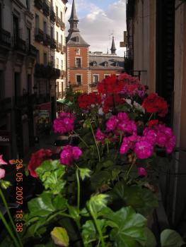 Hostal Comercial, Madrid (Foto 4)