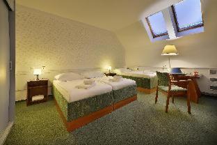 Three Crowns Hotel, Prague (photo 4)