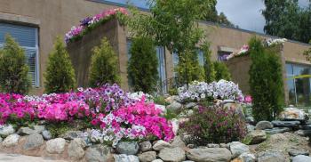 The Hidden Spring, Wanaka (Foto 3)