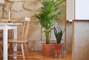 Elisa Apartment, Porto (fotografie 4)