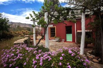 Red Rooster, Barrydale (photo 3)