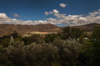 Red Rooster, Barrydale (photo 2)