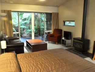 Punga Grove, Franz Josef (foto 3)