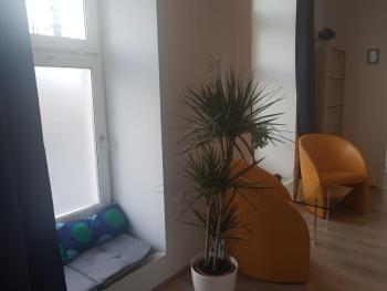 Freinest Wien, Vídeň (fotografie 2)