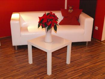 Studio-Apartment Augarten, Vídeň (fotografie 4)