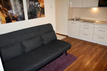Apartament Kasztanowy Centrum, Zakopane (fotografie 4)