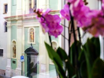 CracWoW St. Thomas Apartment, Cracovie (photo 2)