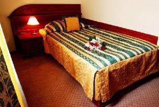 Hotel U Divadla - Czech Leading Hotels, Praga (foto 3)