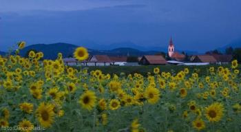 MichoArt, Lublaň (fotografie 5)