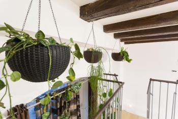 Sweet getaway apartment - central & parking, Lublaň (fotografie 5)