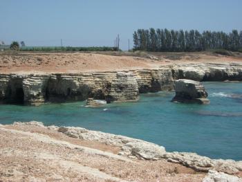 Villa Laurel, Peyia (foto 3)